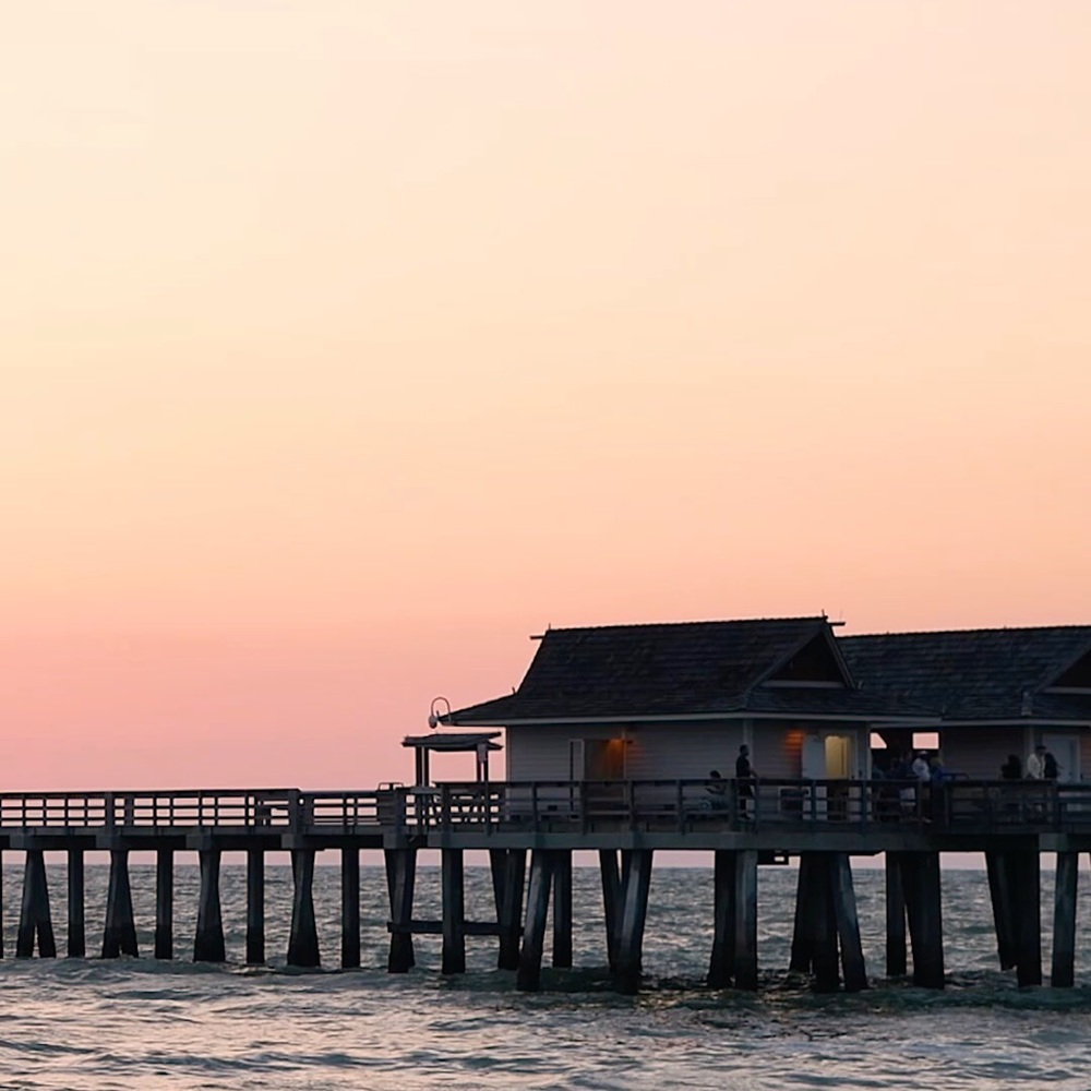 Meet your Posher, Violet